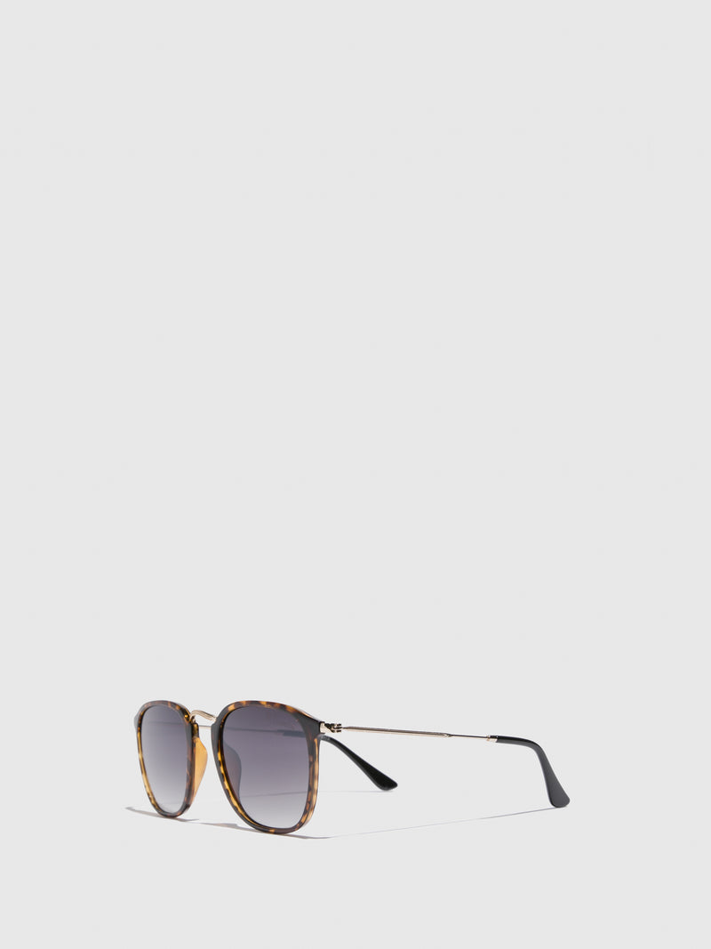 Fly London Brown Clubmaster Style Sunglasses